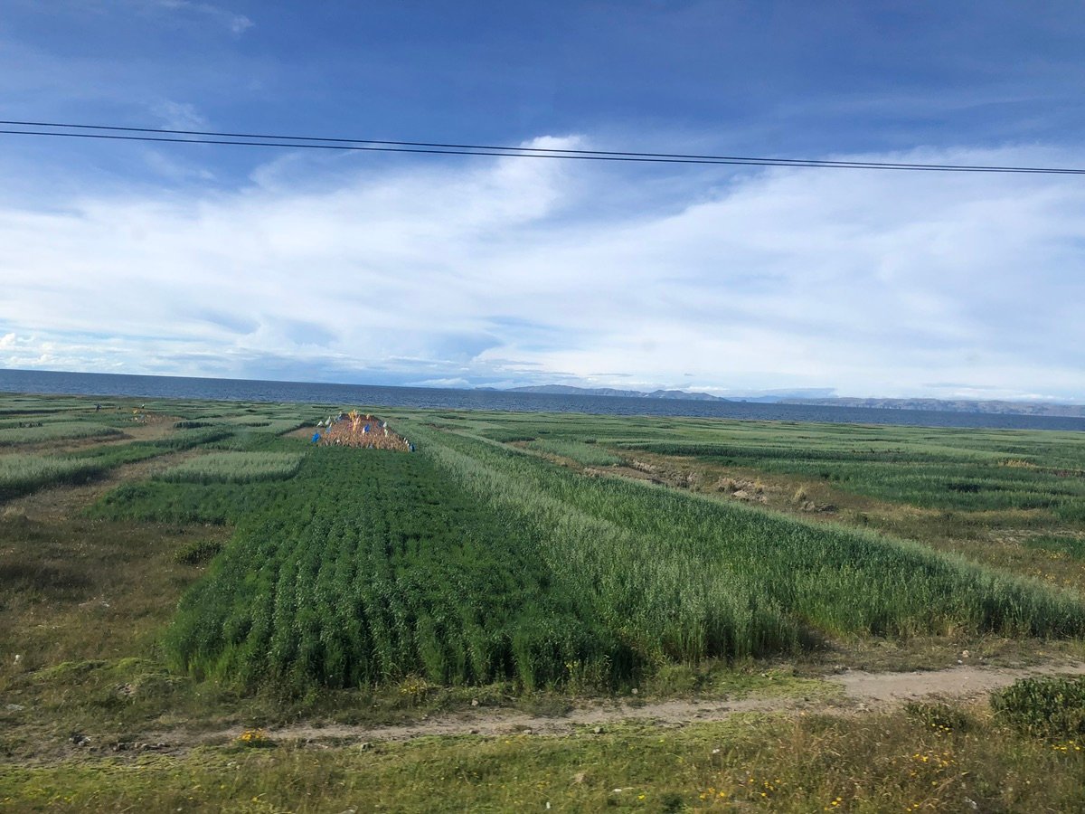 Vast landscape of Lake Titicaca and its lakeside fields