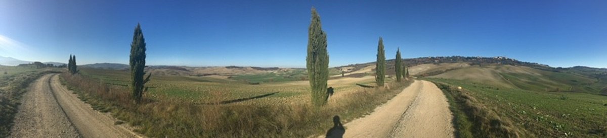 Foreground fields with Pienza on a distant hill