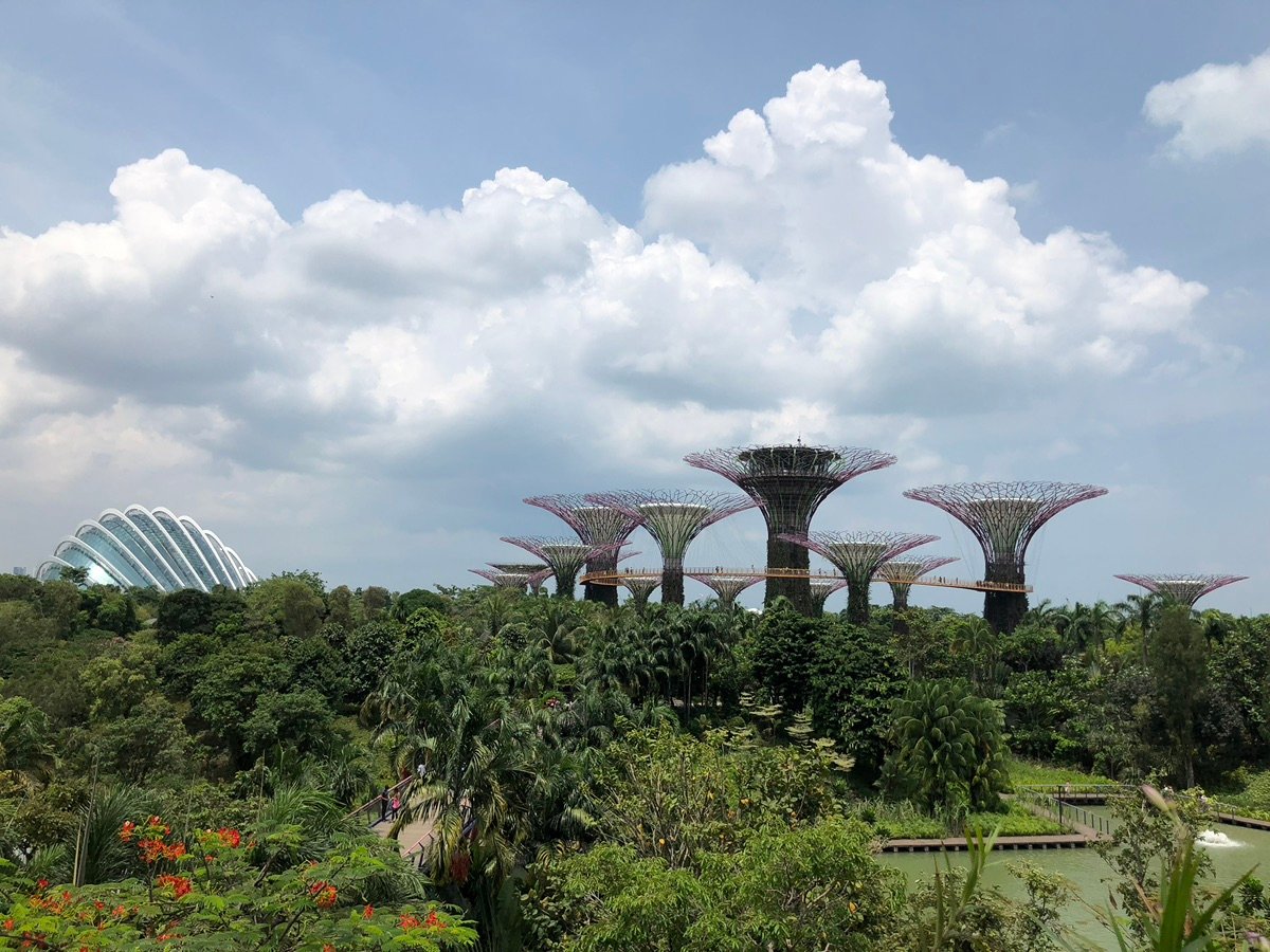 未来的なスーパーツリーへと続く豊かな緑と遊歩道。
