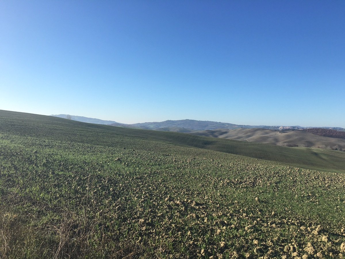 Distant view of Pienza on the rolling hills of Val d'Orcia