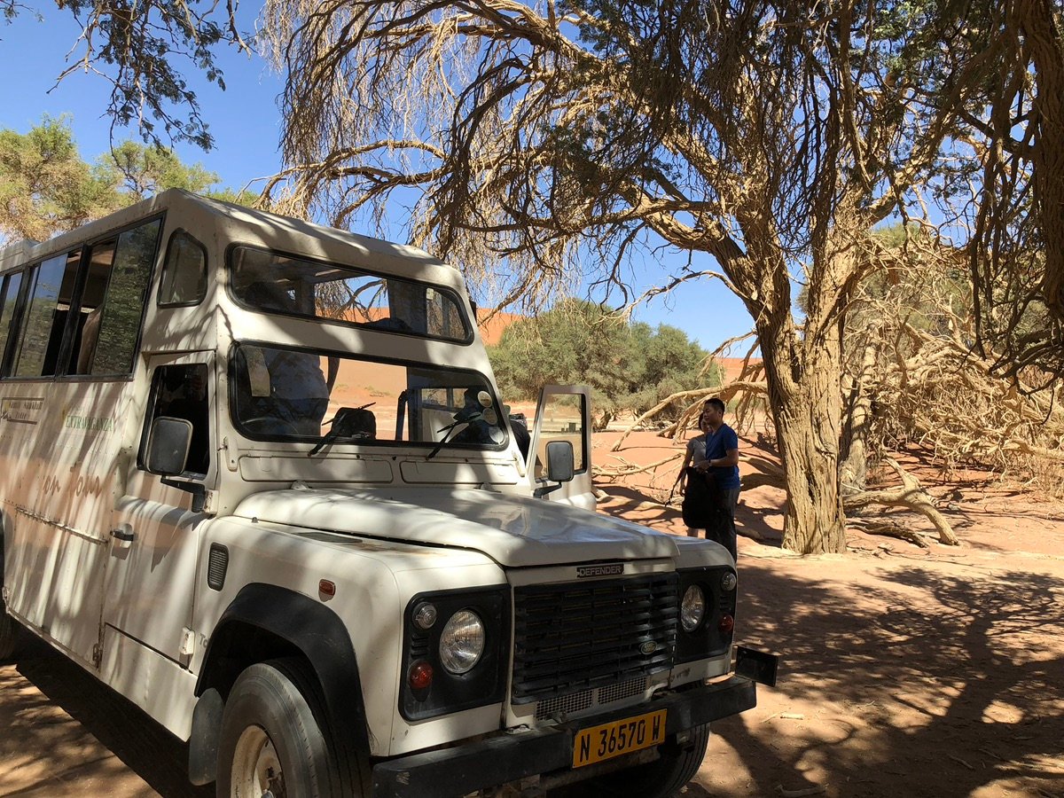 纳米比亚索苏斯弗雷的干旱树木和红色沙漠