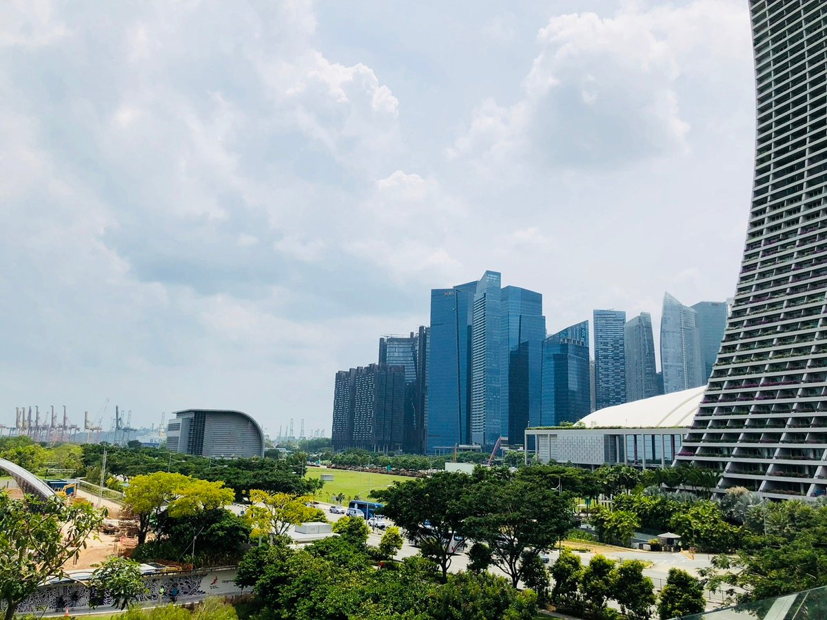 OCBCスカイウェイで結ばれた印象的なスーパーツリー・グローブは、パノラマの景色を提供します。