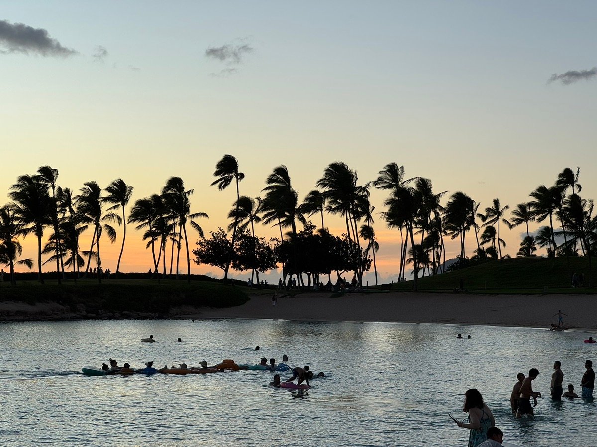 科奥利纳泻湖日落时分,棕榈树的剪影