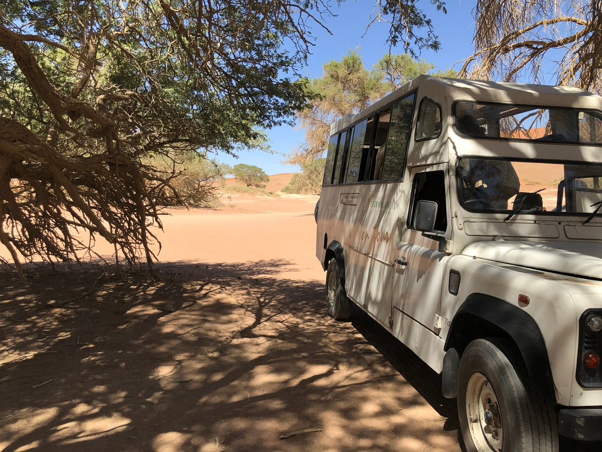 乌鸦栖息在纳米比亚索苏斯弗雷的干旱景观中