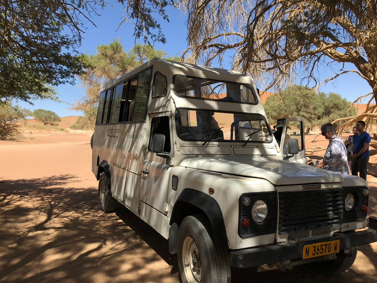 索苏斯弗雷树枝和远方沙丘顶部的细节特写