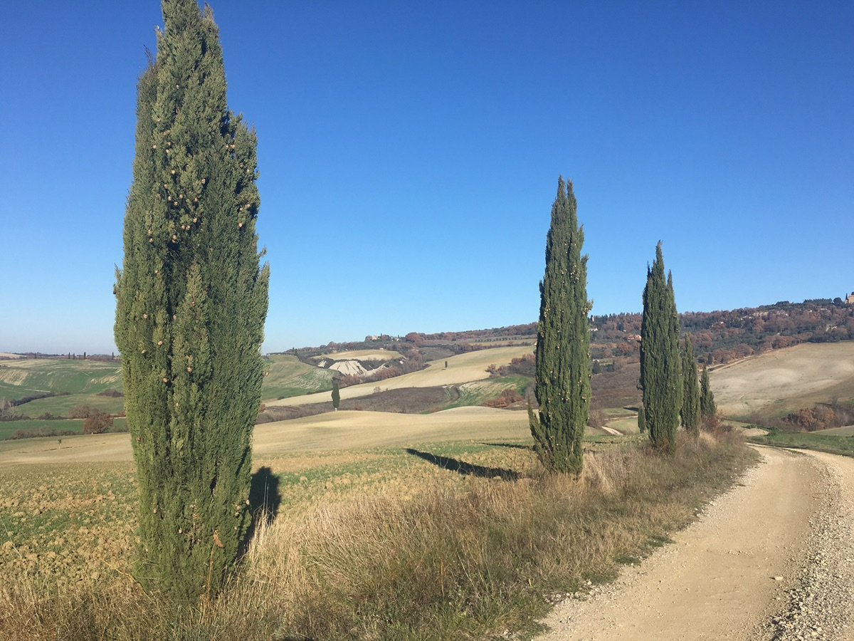 Pienza town and bell tower on green hills of Val d'Orcia