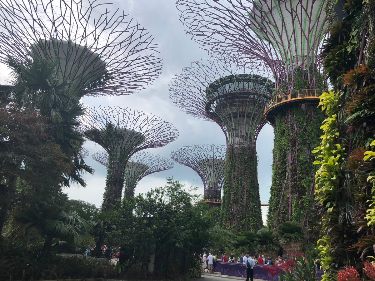 スーパーツリーグローブの日中の様子