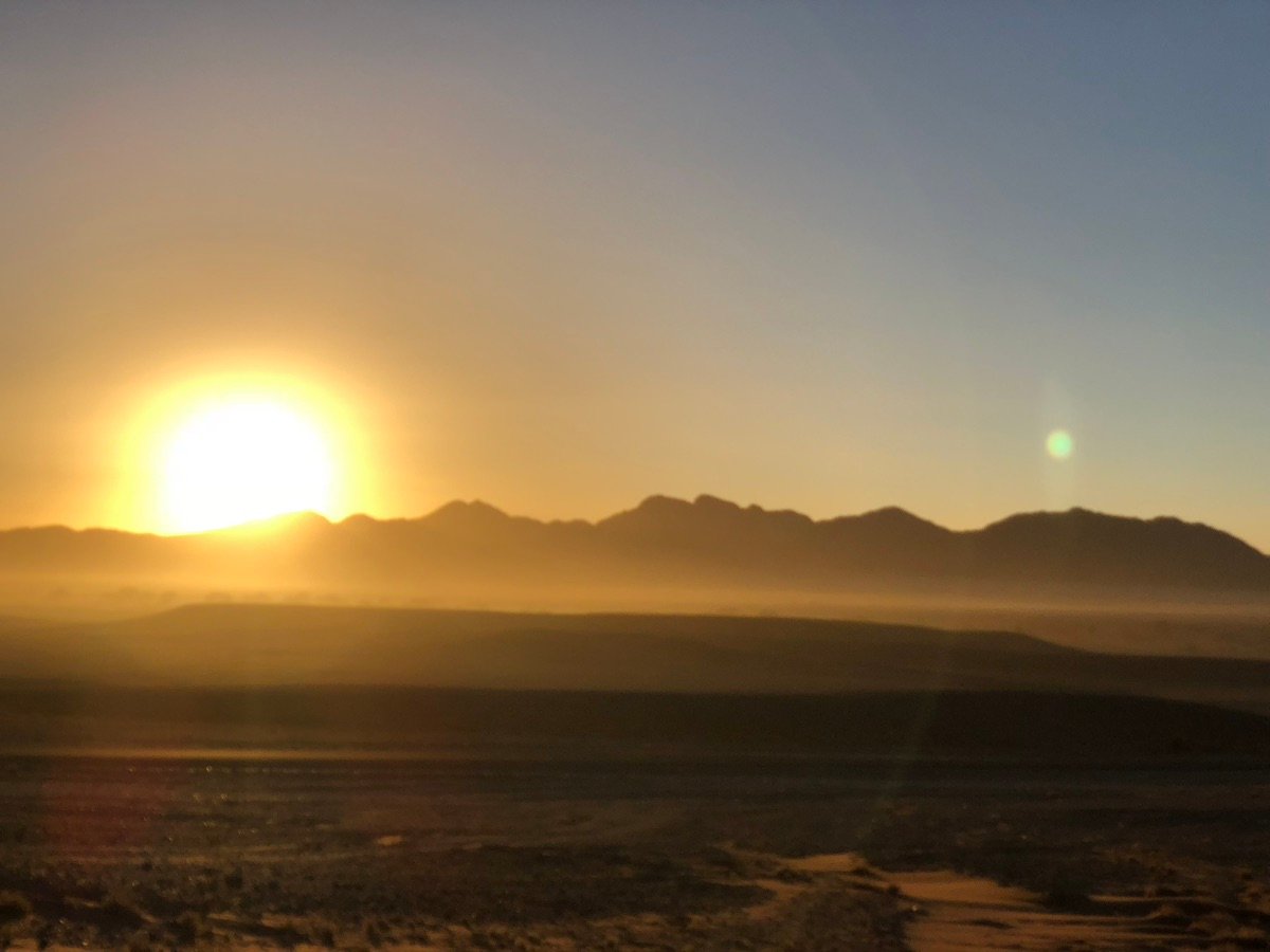 Amanecer en el desierto de Namib con vegetación en primer plano bañada en luz