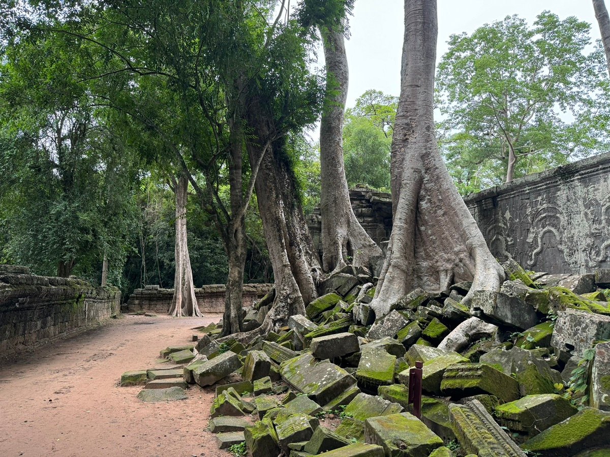 塔普伦寺入口，被巨树环绕的古老石桥