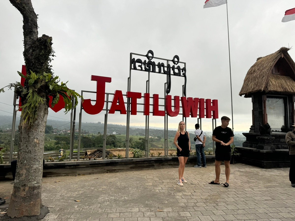 Otra vista más de los arrozales de Bali