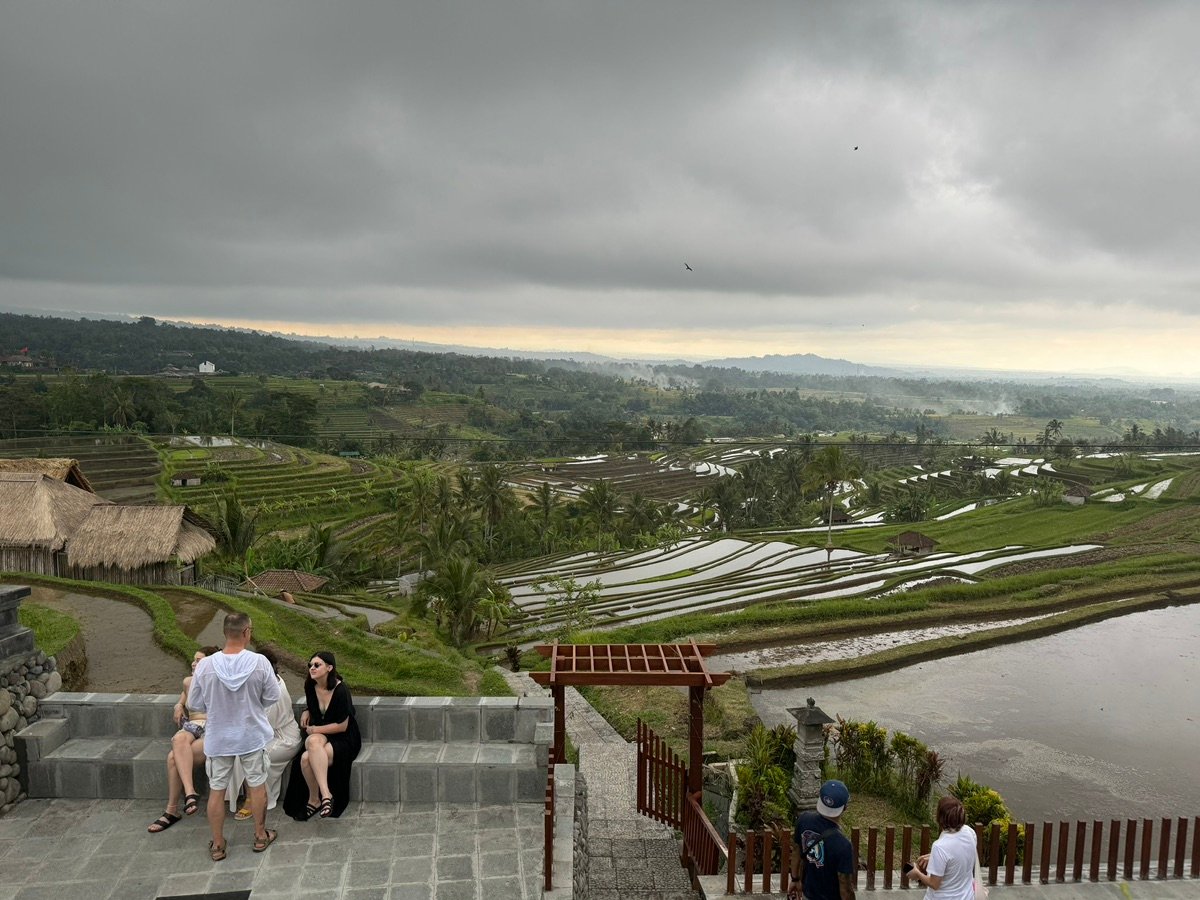 Una vista de los arrozales de Bali