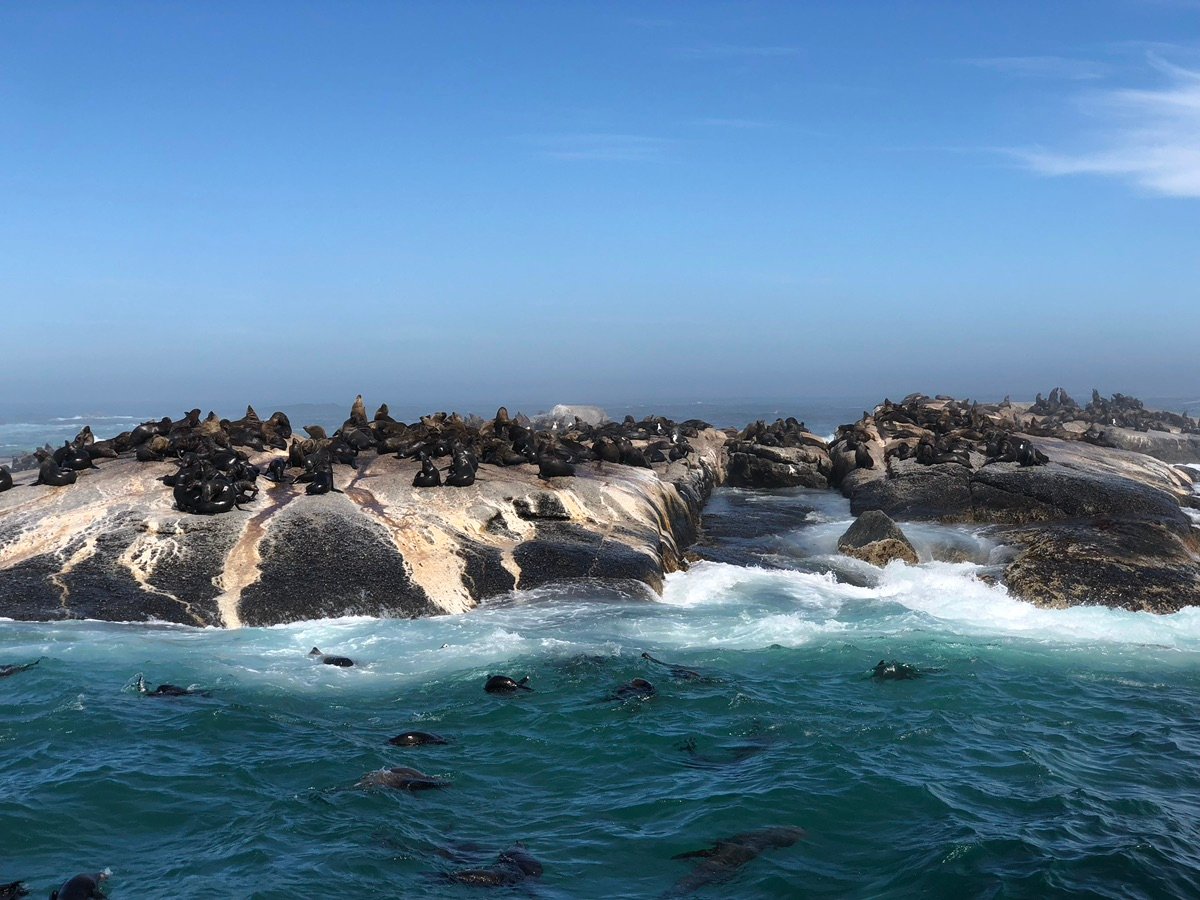 Vistas costeras desde el agua cerca de Ciudad del Cabo