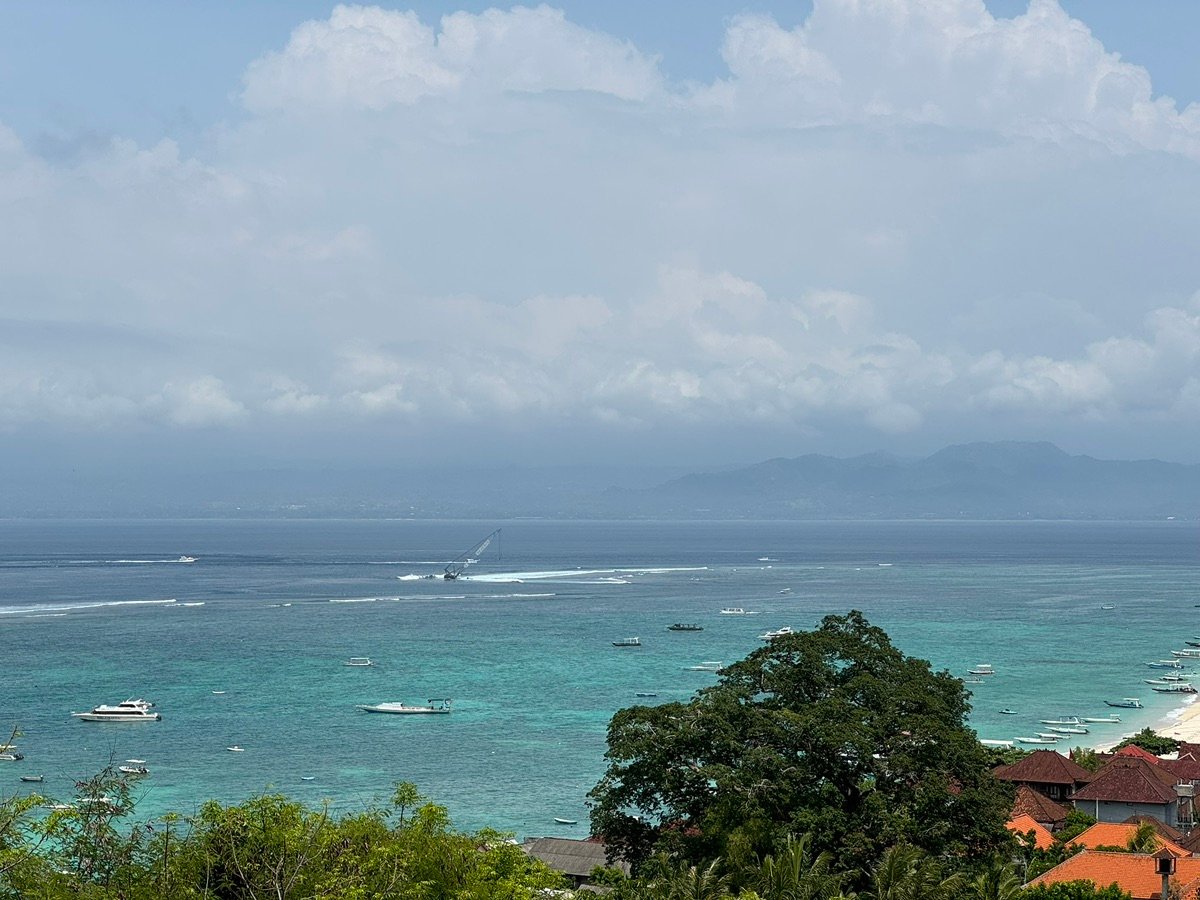 Nusa Lembongan village and palm tree landscape