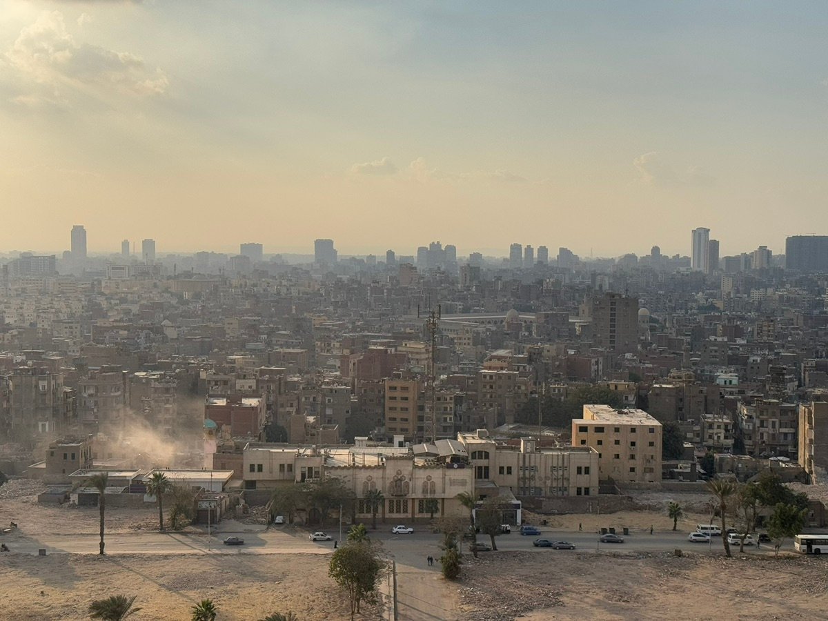 Close-up of the mosque facade and a palm tree