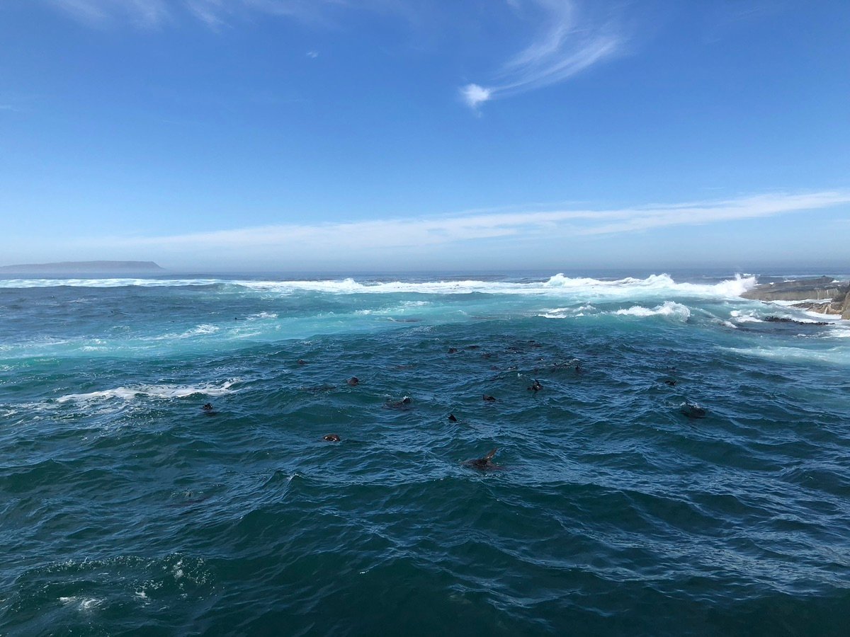 El océano a lo largo de la Península del Cabo
