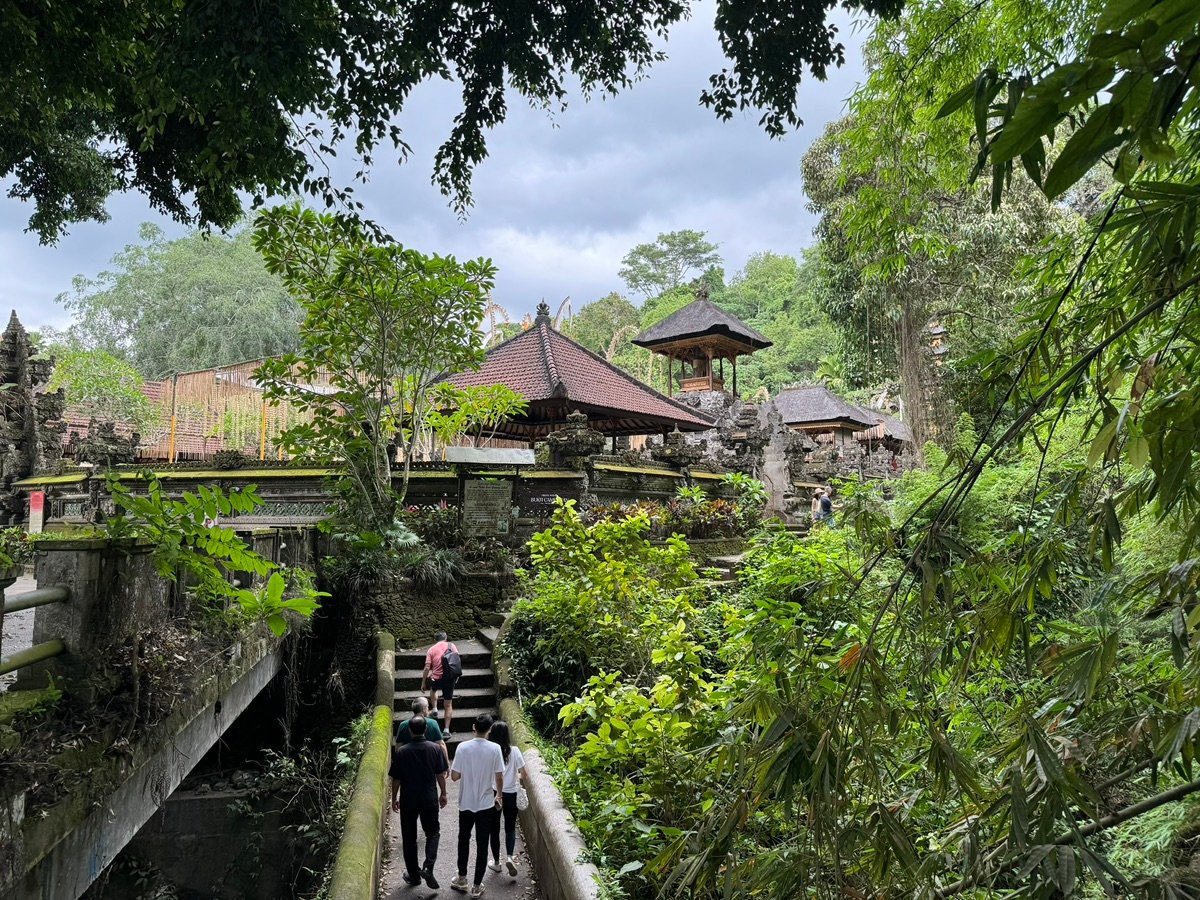 Lush green forest surrounding Gunung Kawi Temple, with bamboo and distant temple roofs