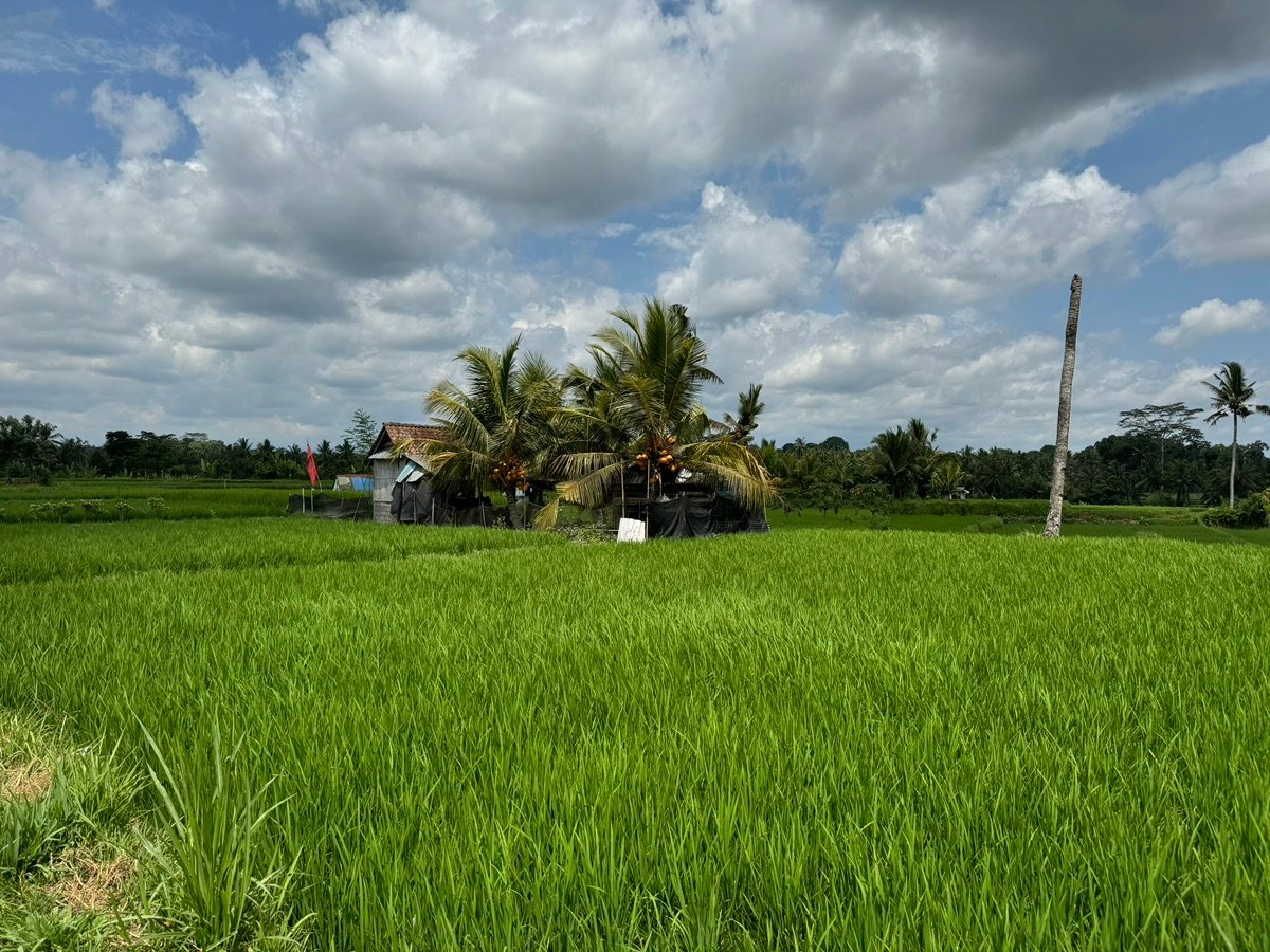 バリ島の空と雲