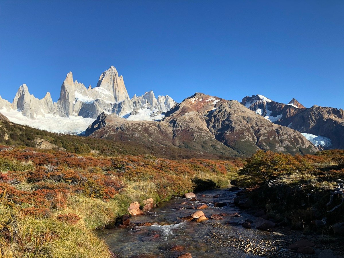 尔查尔滕托雷湖步道上山脉和秋色灌木的特写