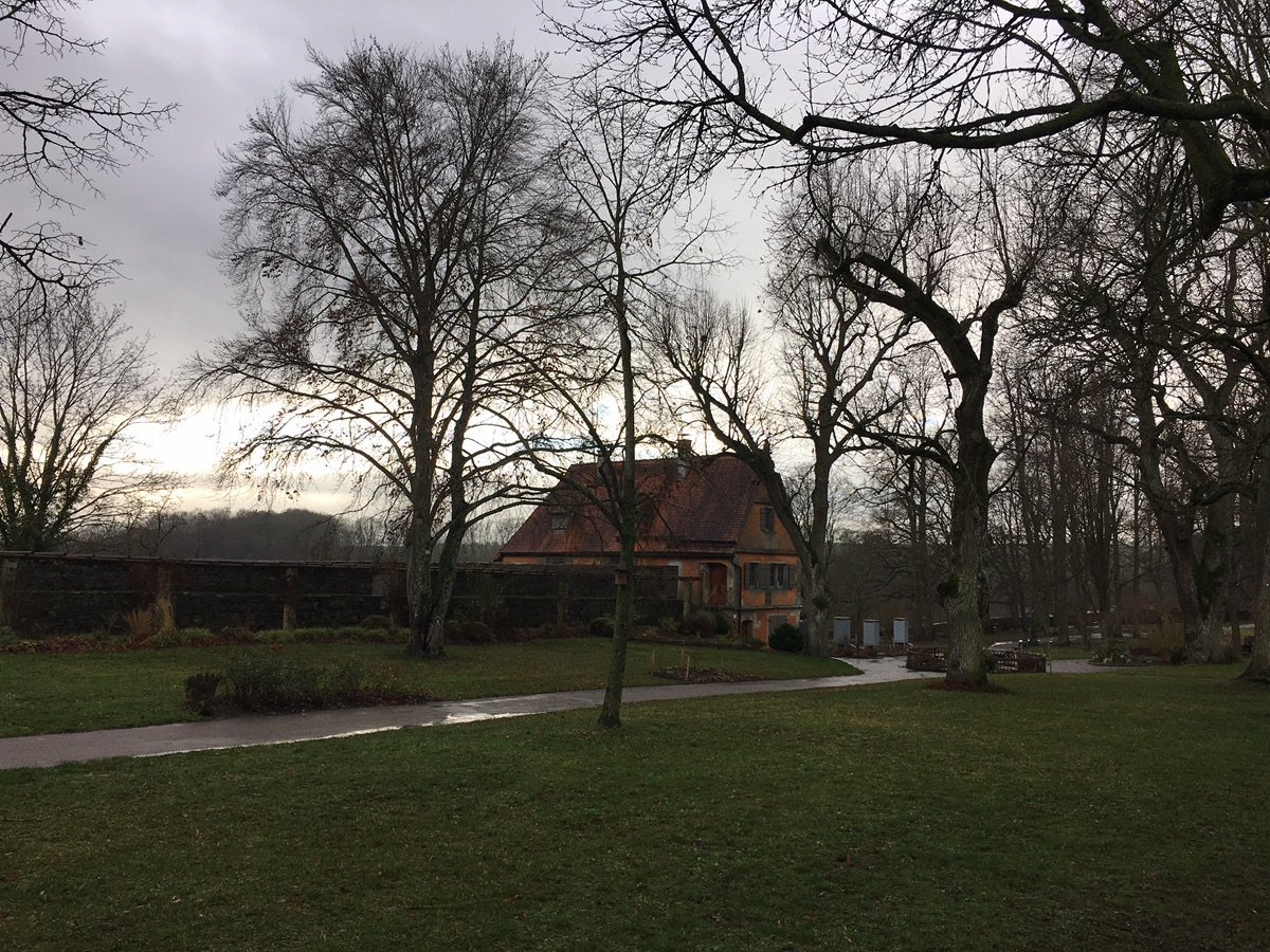 Tronco de árbol con musgo y casas distantes en Burggarten