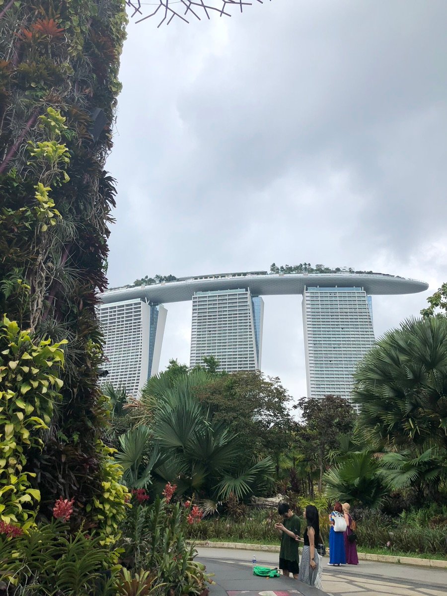 スーパーツリーグローブの夜景