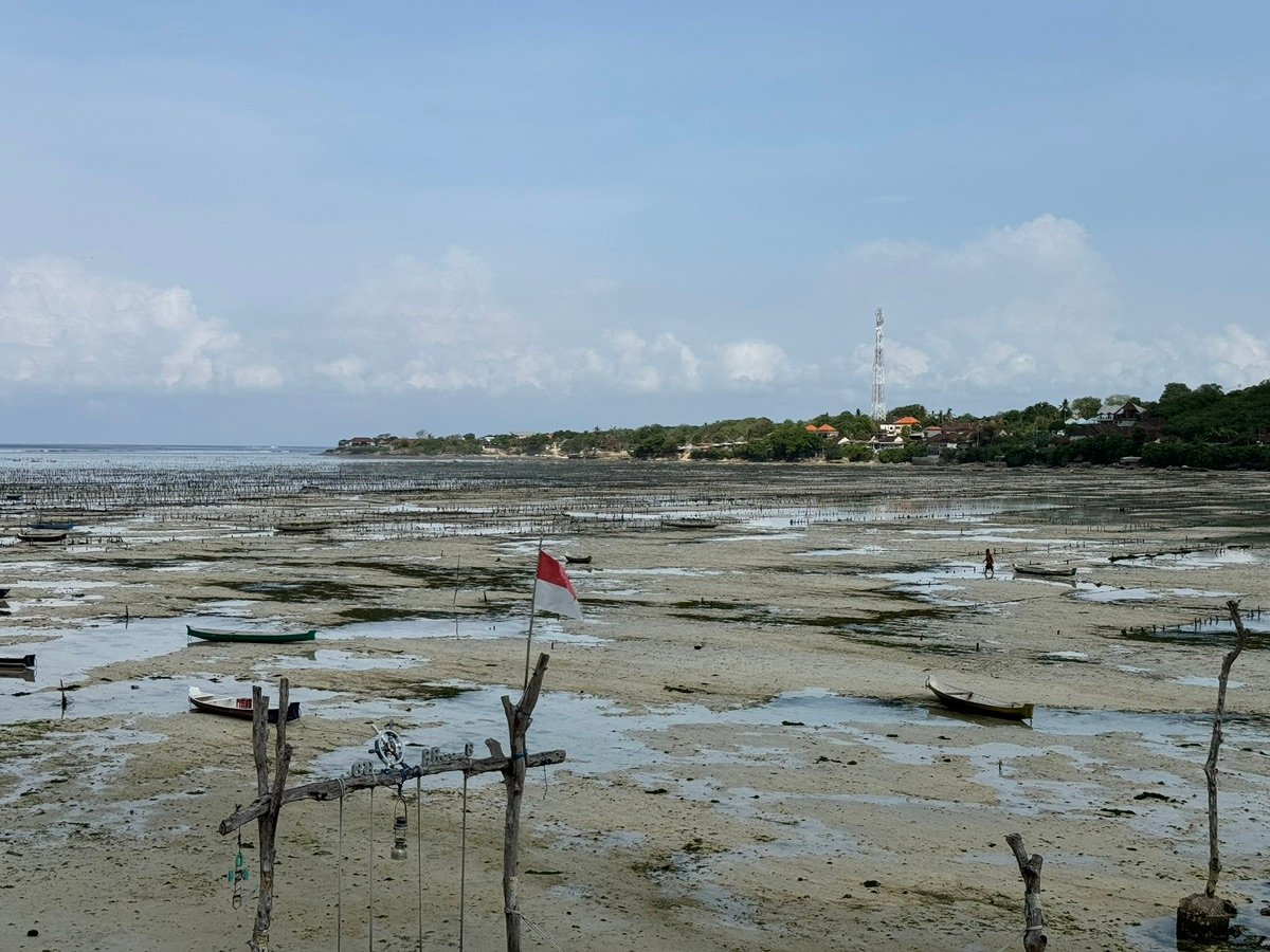 干潮時のレンボンガン島海藻畑の全景と小さなボート