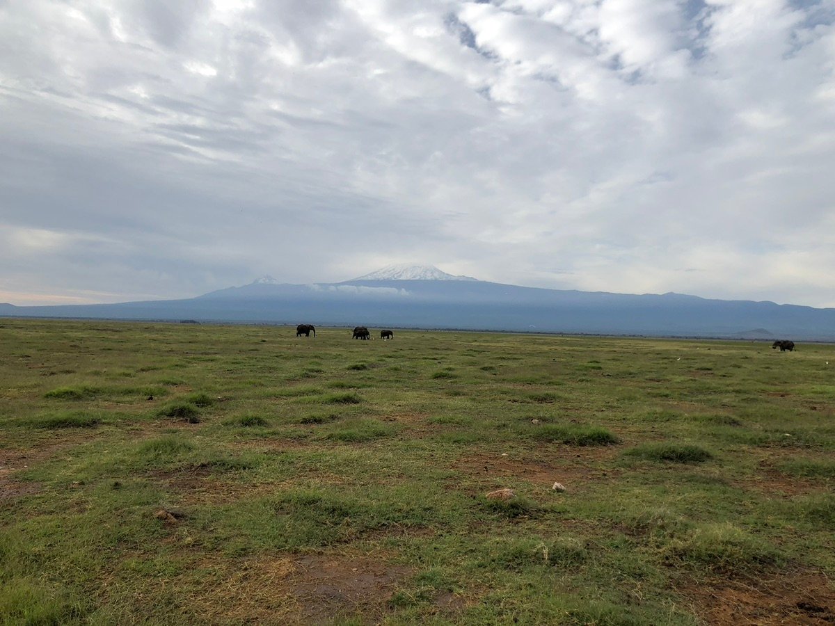 アンボセリ国立公園の広大な景色