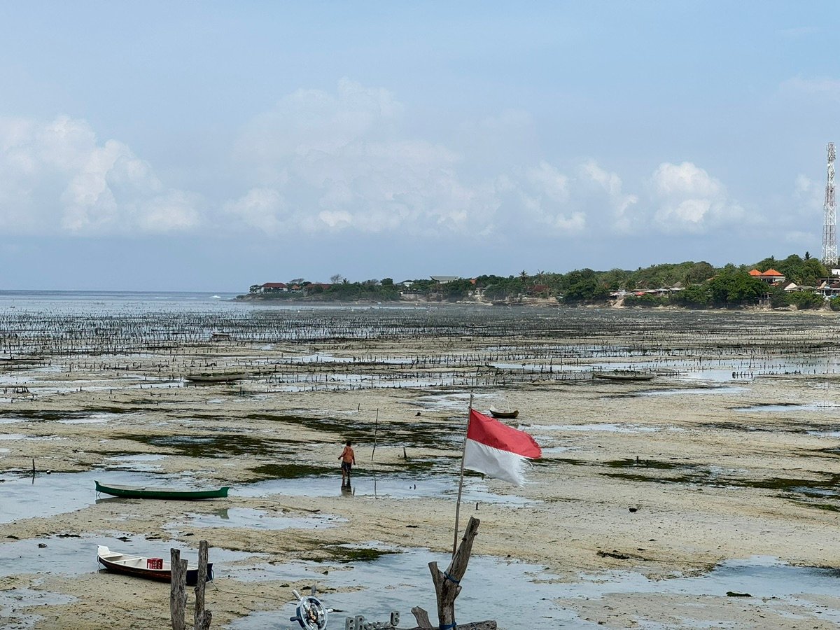 レンボンガン島海藻畑から見た家々と木々の遠くの海岸線