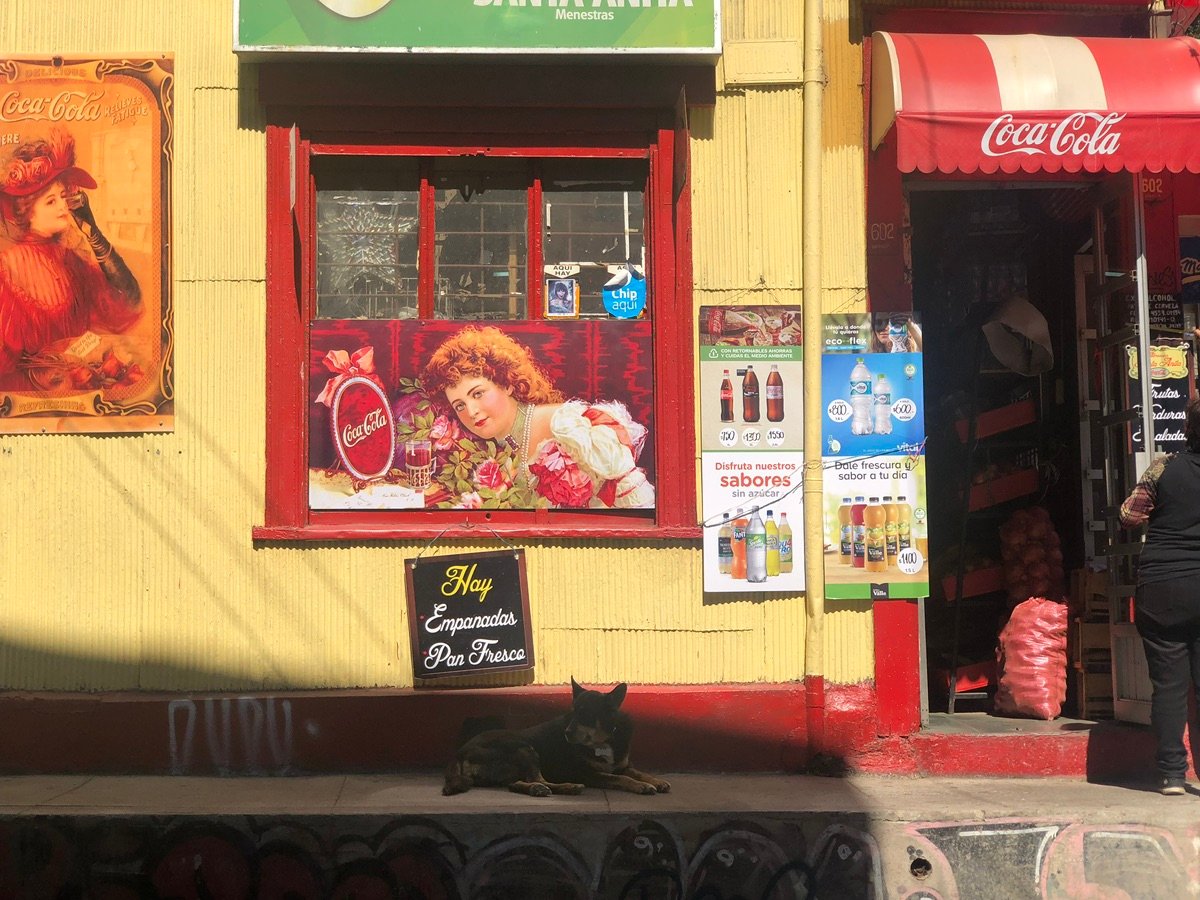 Detailed section of a Valparaíso mural