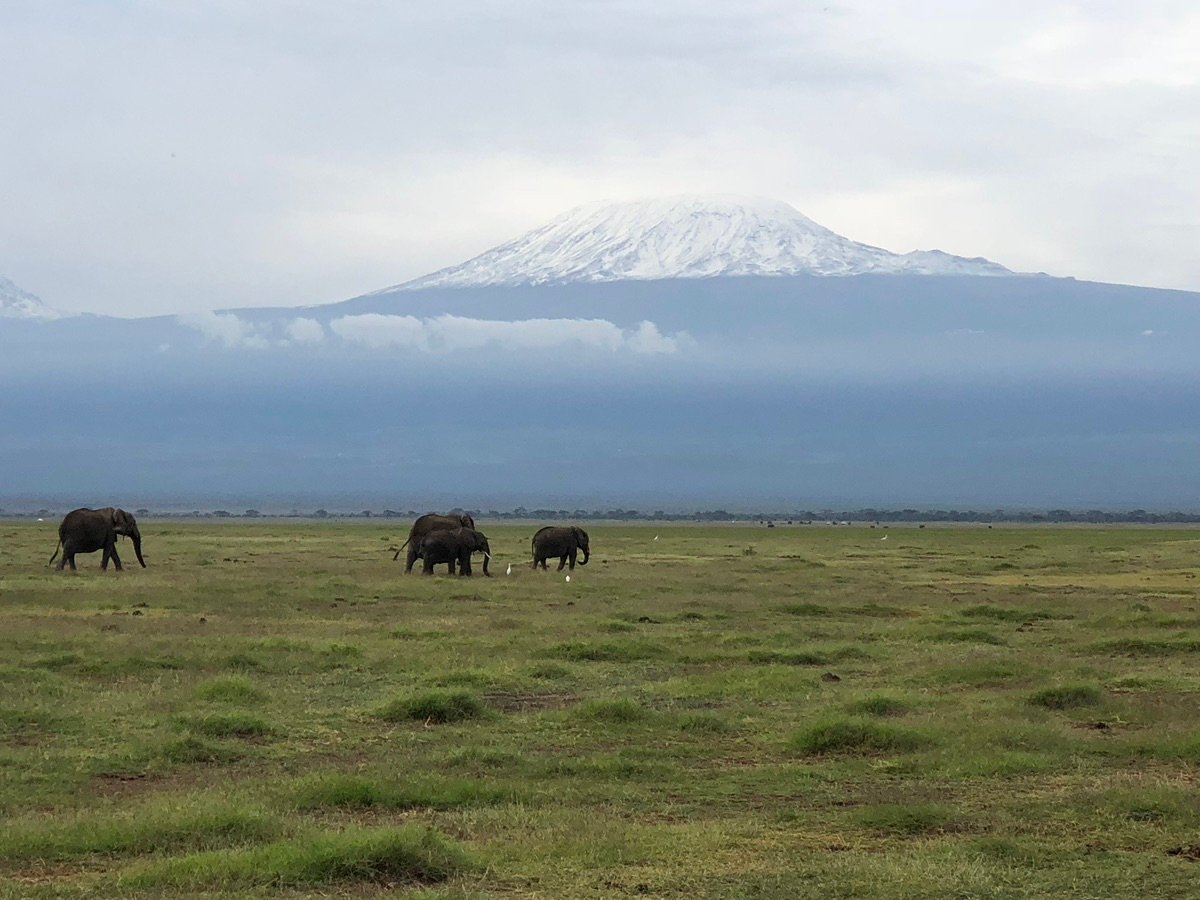 キリマンジャロの雄大な姿