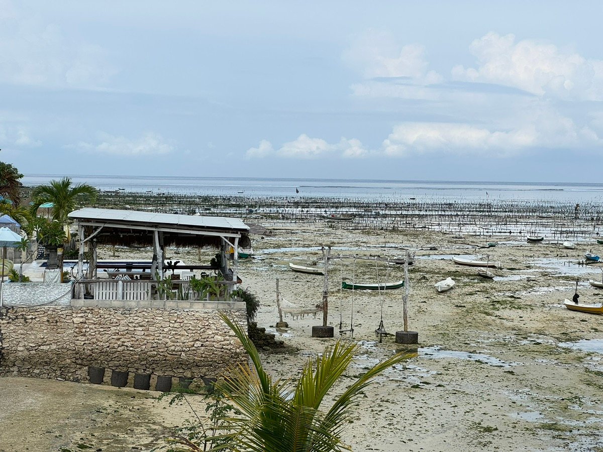 レンボンガン島の海藻畑のボートのクローズアップ