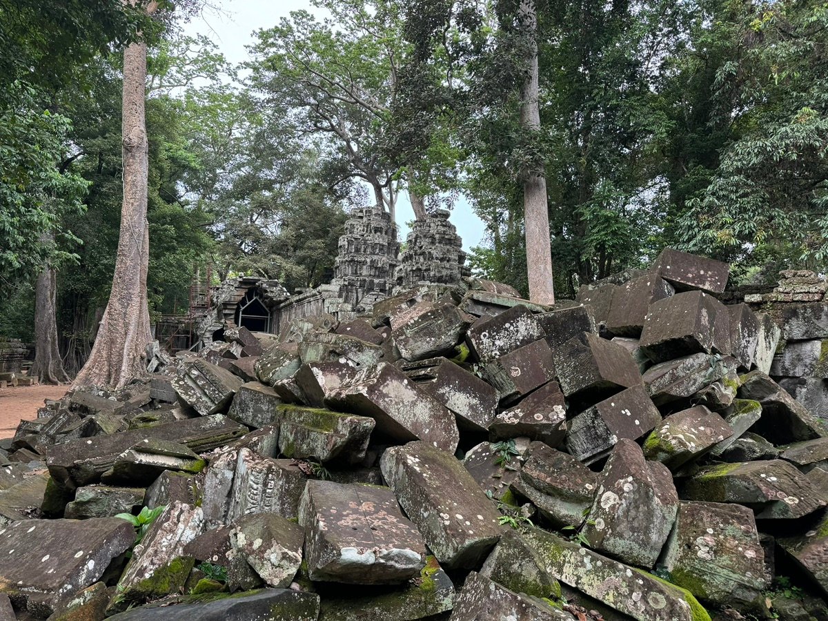 塔普伦寺被高大树木遮蔽的天空