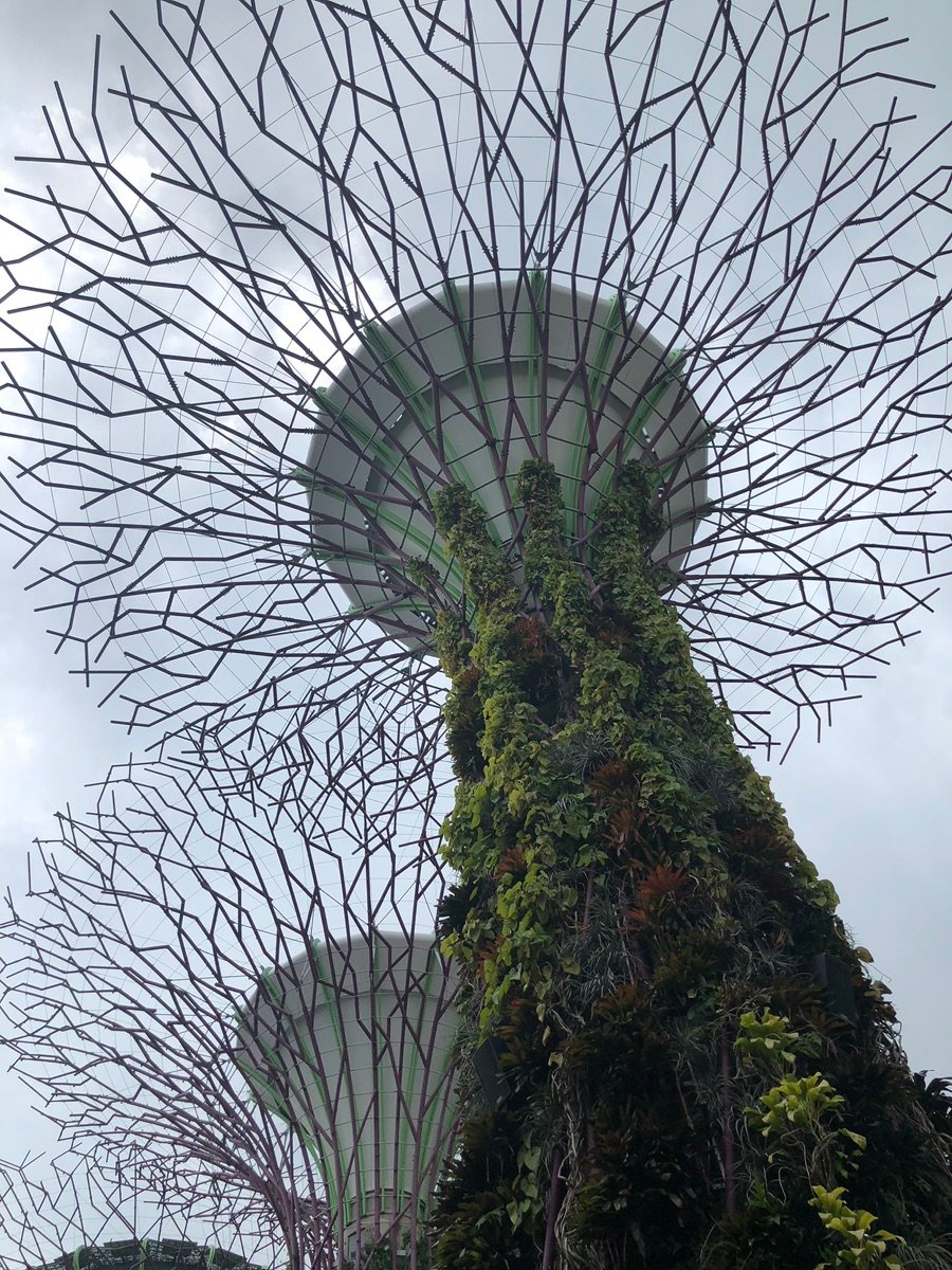 スーパーツリーグローブの別の風景