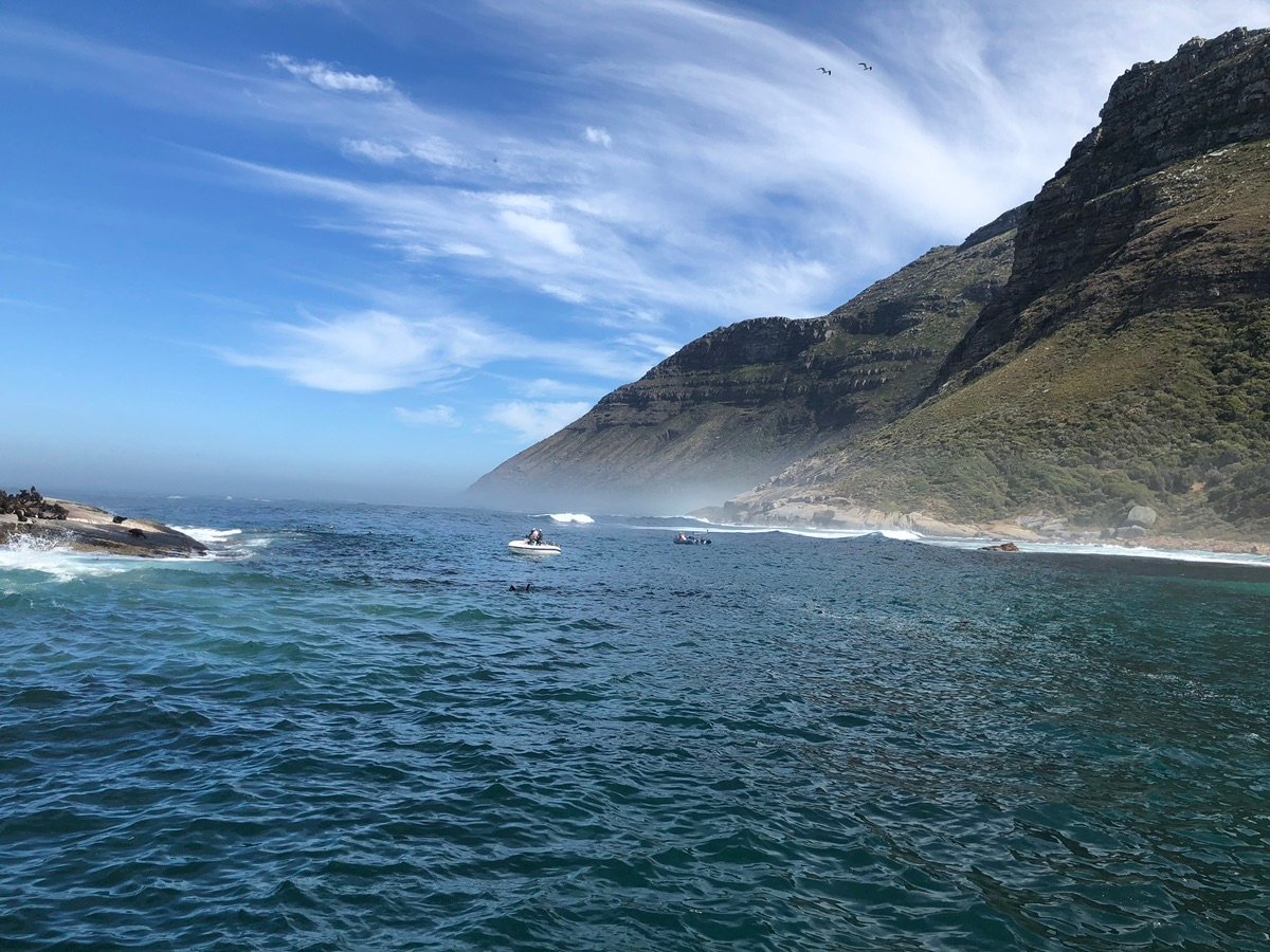 Vistas expansivas de la costa de la Península del Cabo
