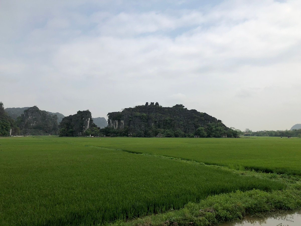 姆阿洞穴的建筑和荷花池