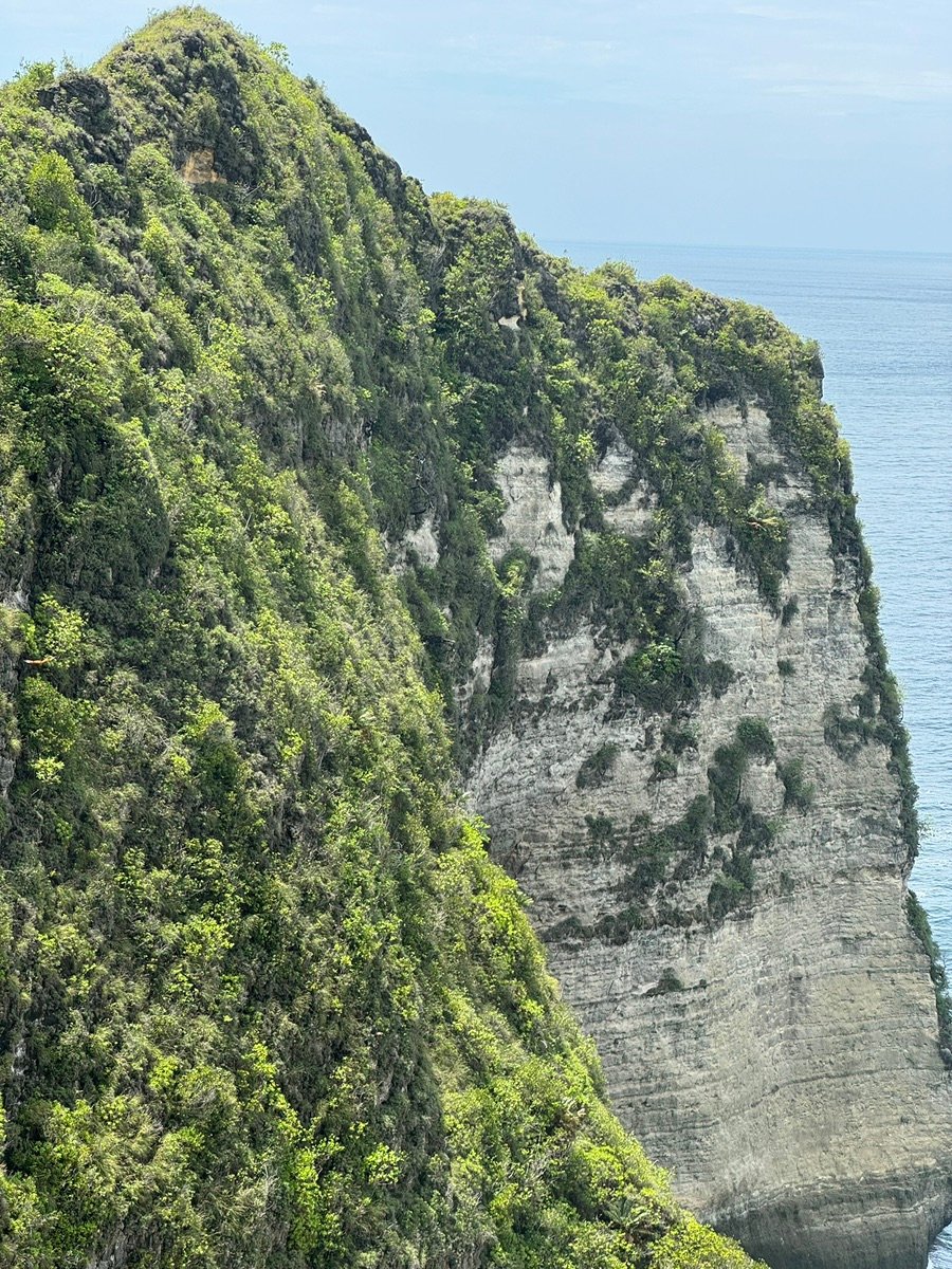 Beautiful view of Kelingking Beach