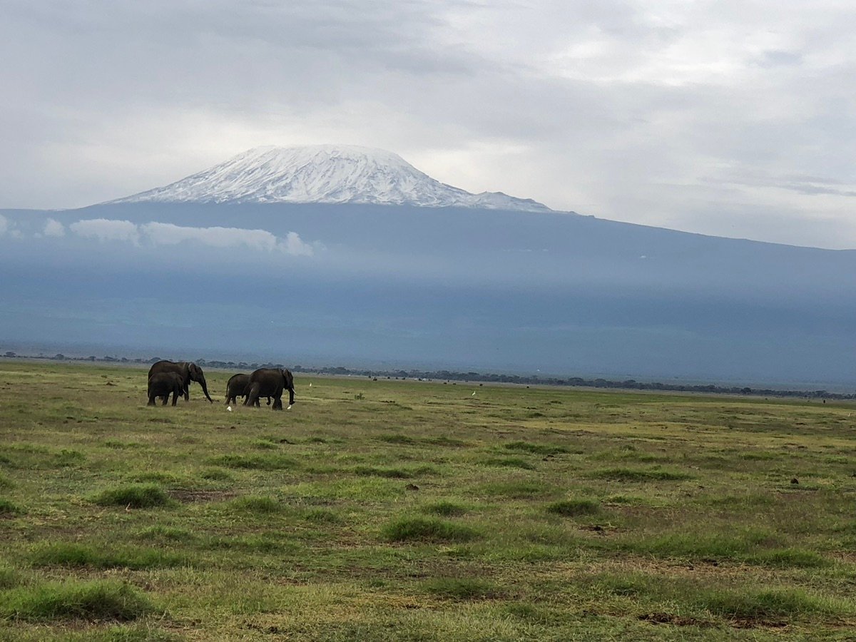 ケニアの自然の美しさ