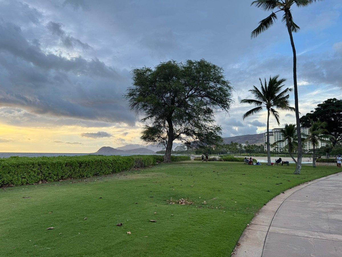A scenic view of the Hawaiian coastline