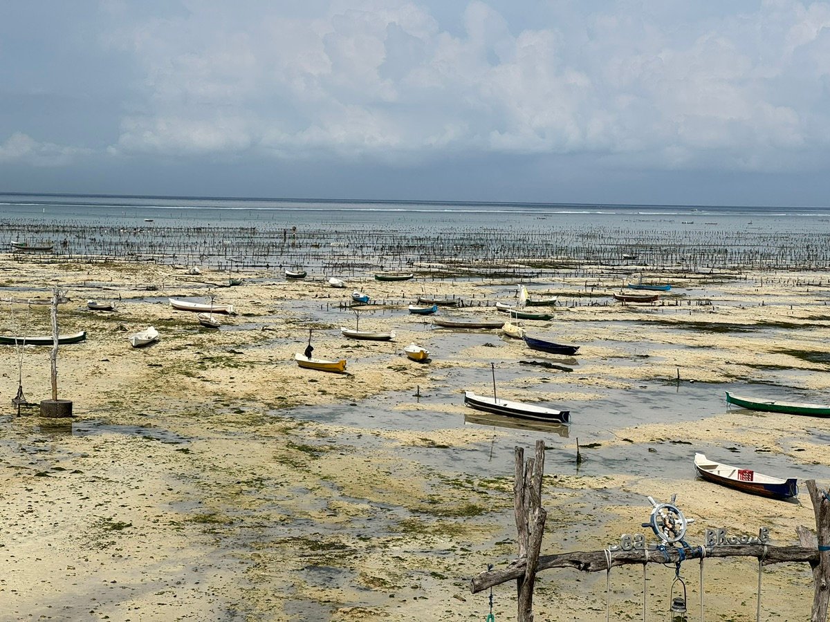 Nusa Lembongan coastline