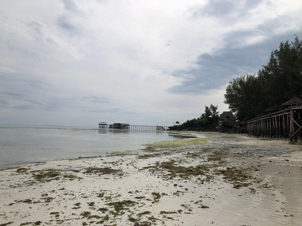 Jetty with distant buildings and people