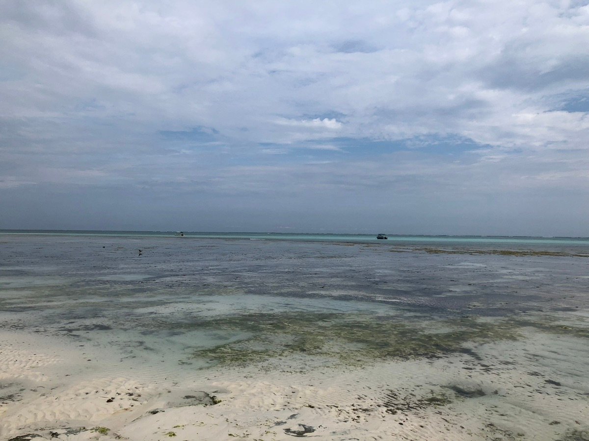 Overview of the overwater restaurant and jetty