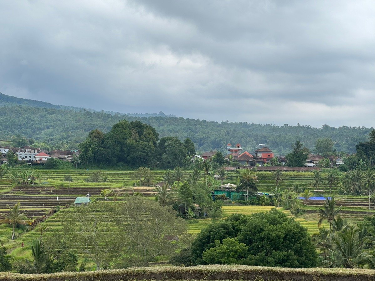 Paved pathways along the fields