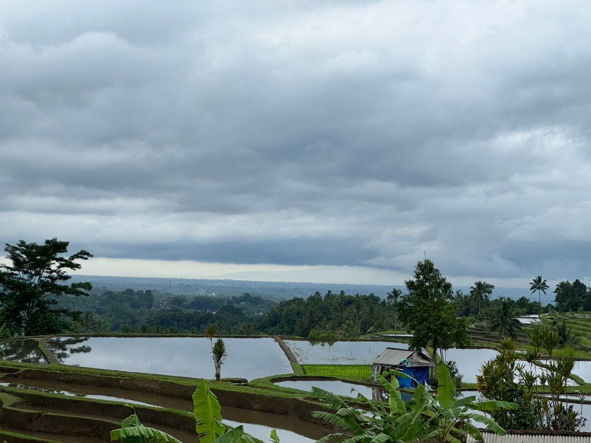 Jatiluwih Rice Terraces view